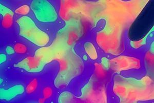 PyR Jr 2021 Showcase - Colour & Composition