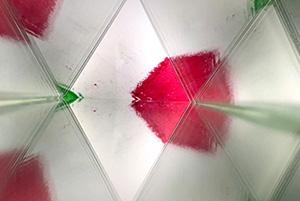 PyR Jr 2021 Showcase - Surprising