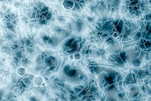 From Reality into Abstraction