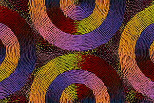 Spanish Short Film Panorama